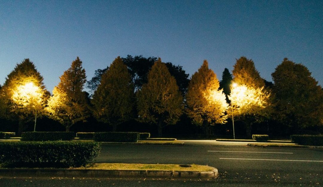 Beautify you lawn with landscape lightings