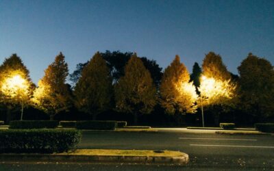 Beautify you lawn with landscape lightings