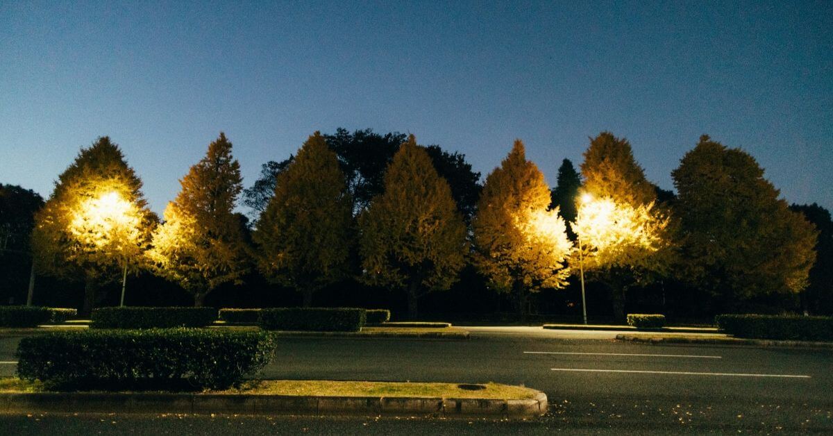 Beautify you lawn with landscape lightings