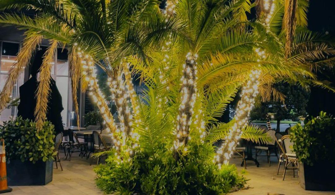 Lighten up your garden area fantastically!