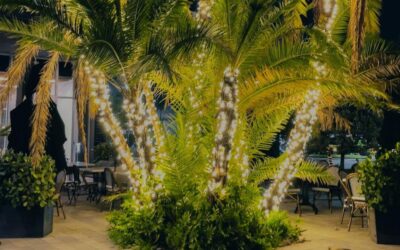 Lighten up your garden area fantastically!