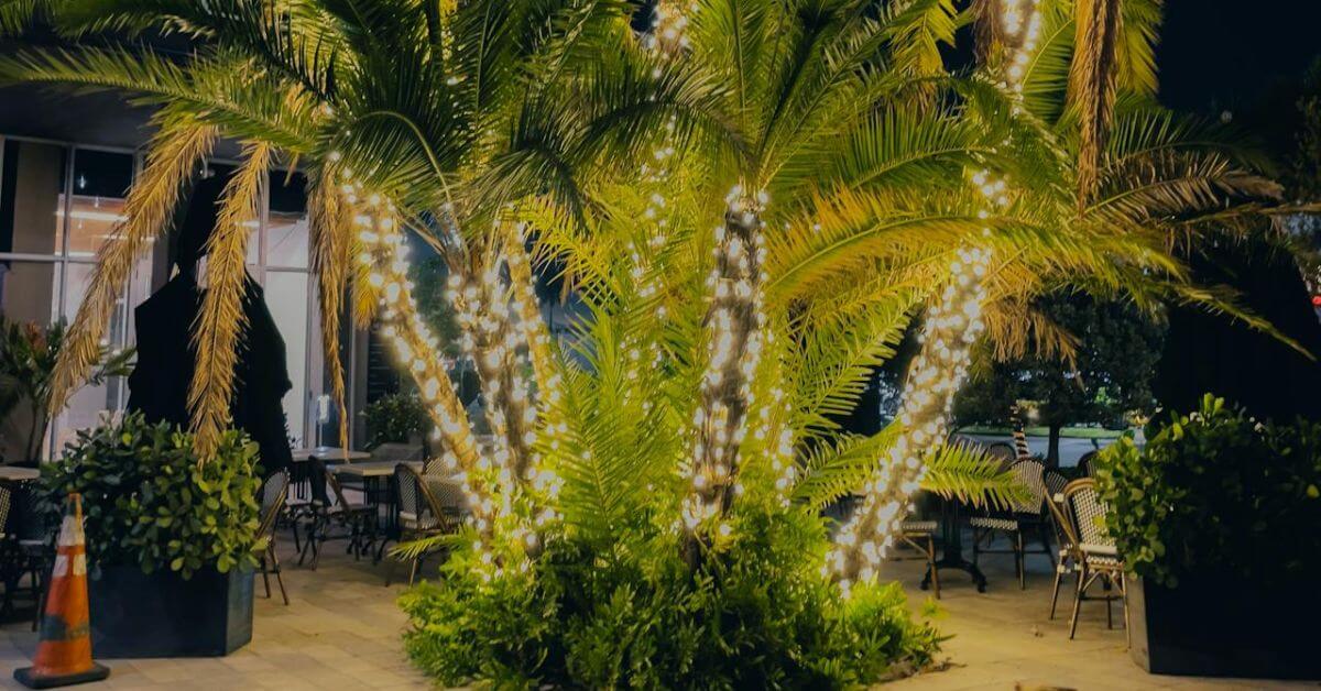 Lighten up your garden area fantastically